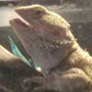 Meet your Posher, Douglas